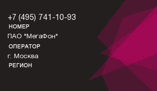 4957411093